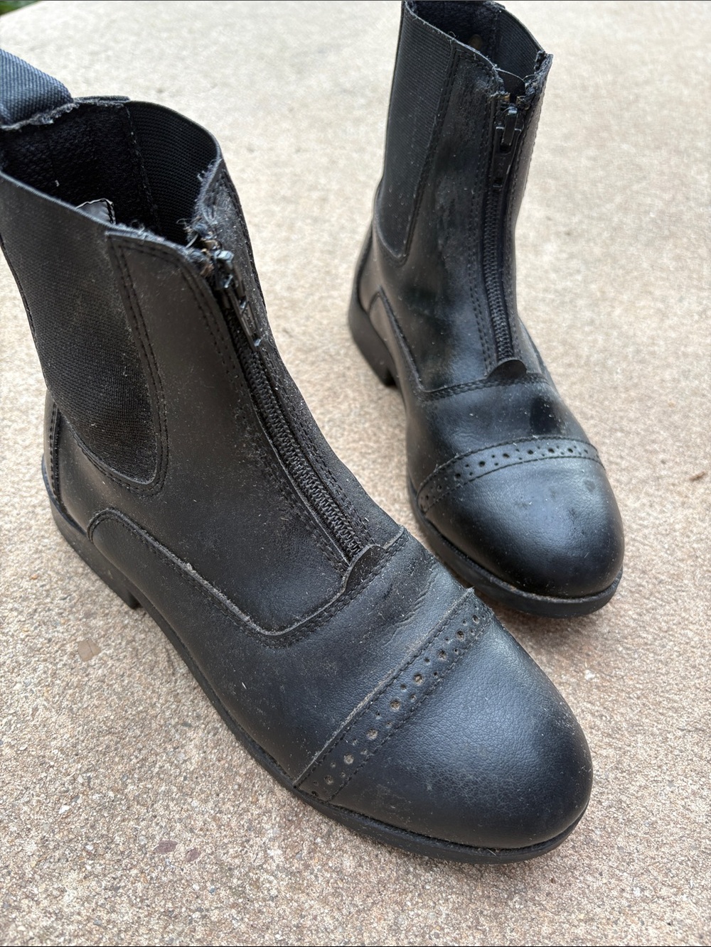 Equistar Kids’ All Weather Synthetic Zip Paddock Boot